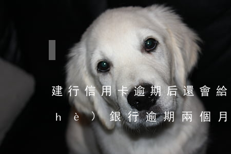 建行信用卡逾期后還會給臨時嗎-建設(shè)銀行逾期兩個月信用卡被凍結(jié)可以用嗎