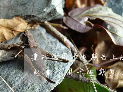 建行信用卡逾期告上法庭怎么辦 銀行去法院起訴信用卡逾期怎么辦
