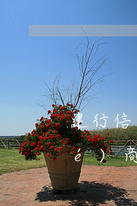 建行信用卡逾期和誰(shuí)協(xié)商(建行信用卡逾期和誰(shuí)協(xié)商)