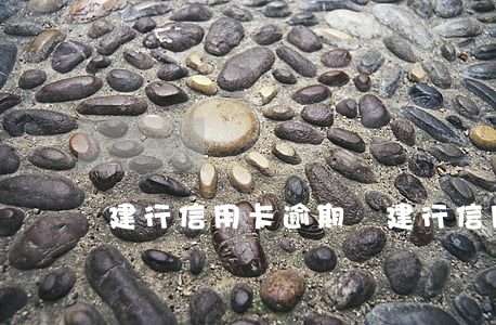 建行信用卡逾期圖(建行 信用卡 逾期)