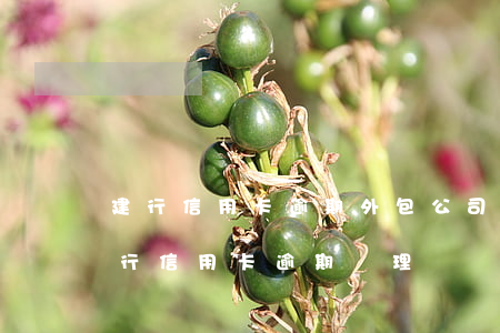 建行信用卡逾期外包公司(建設(shè)銀行信用卡逾期處理)