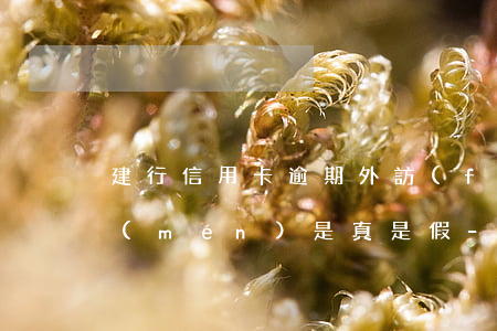 建行信用卡逾期外訪(fǎng)人員上門(mén)是真是假-建行信用卡逾期外訪(fǎng)人員上門(mén)是真是假啊