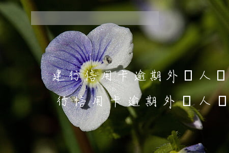 建行信用卡逾期外訪人員上門是真是假-建行信用卡逾期外訪人員上門是真是假啊
