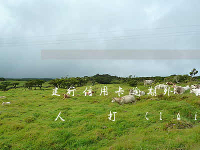 建行信用卡逾期外訪(建設(shè)銀行私人電話打來(lái)說(shuō)信用卡逾期走訪)