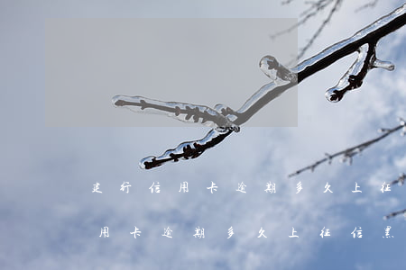 建行信用卡逾期多久上征信黑名單-建行信用卡逾期多久上征信黑名單了