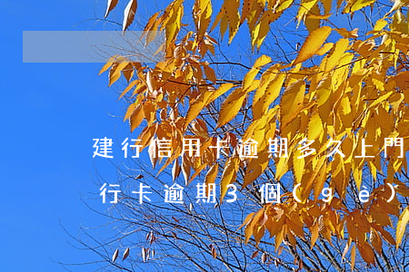 建行信用卡逾期多久上門(建設(shè)銀行卡逾期3個(gè)月我還能申請(qǐng)開通嗎)