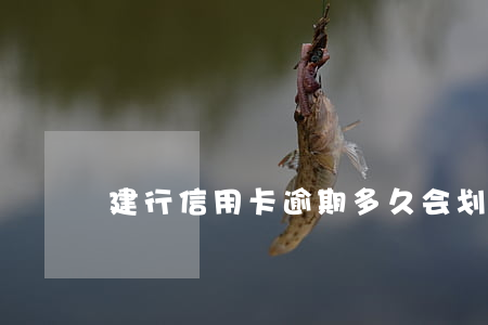 建行信用卡逾期多久会划扣储蓄卡