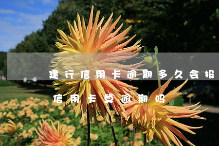 建行信用卡逾期多久会报案(建行推迟一天还信用卡算逾期吗?)
