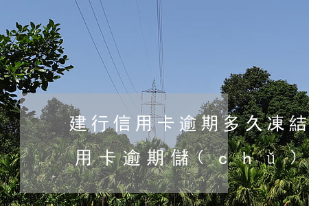 建行信用卡逾期多久凍結(jié)(建行信用卡逾期儲(chǔ)蓄卡被凍結(jié)了怎么辦)