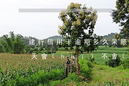 建行信用卡逾期多久呆賬(建行信用卡逾期三天會(huì)不會(huì)有什么影響嗎)