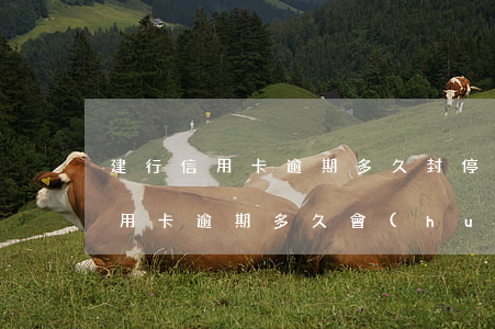 建行信用卡逾期多久封停(建設(shè)信用卡逾期多久會(huì)被?？?