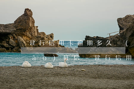 建行信用卡逾期多久會(huì)上報(bào)征信-建行信用卡逾期多久會(huì)上報(bào)征信報(bào)告
