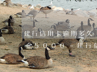 建行信用卡逾期多久會(huì)被起訴本金5000-建行信用卡逾期多久會(huì)被起訴本金15000