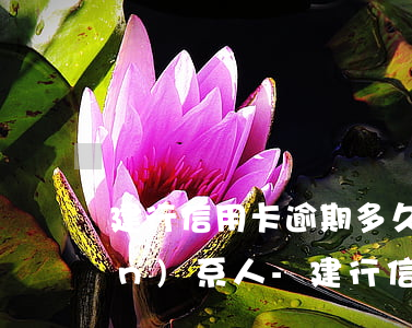 建行信用卡逾期多久會電話通知聯(lián)系人-建行信用卡逾期多久會電話通知聯(lián)系人呢