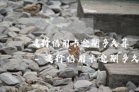 建行信用卡逾期多久算嚴(yán)重逾期-建行信用卡逾期多久算嚴(yán)重逾期了