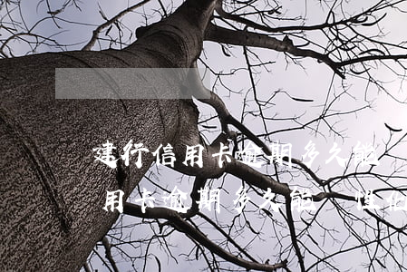建行信用卡逾期多久能個性化分期-建行信用卡逾期多久能個性化分期還款