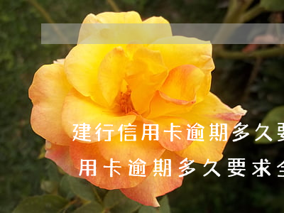 建行信用卡逾期多久要求全額還款-建行信用卡逾期多久要求全額還款呢