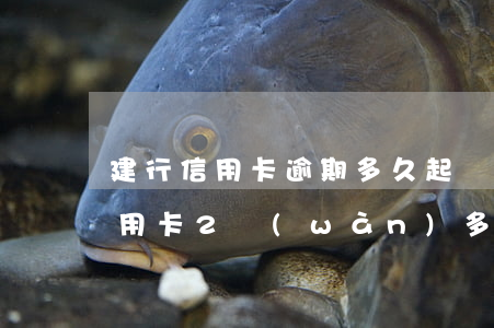 建行信用卡逾期多久起訴多久開庭(欠建行信用卡2萬(wàn)多多長(zhǎng)時(shí)間會(huì)被起訴?)