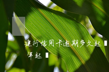 建行信用卡逾期多久起訴(建行信用卡逾期半年起訴)