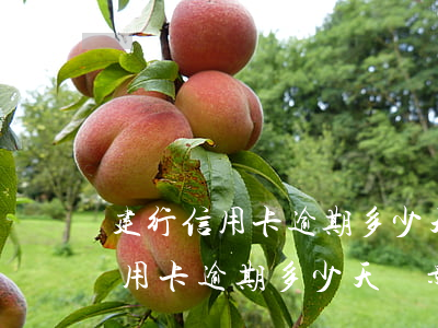 建行信用卡逾期多少天會影響征信-建行信用卡逾期多少天會影響征信記錄