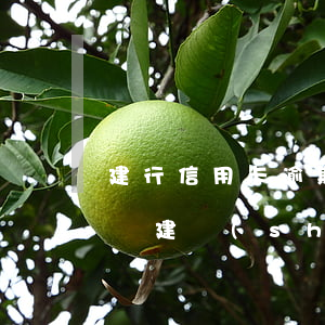 建行信用卡逾期多次催款會(huì)坐牢嗎(建設(shè)銀行卡逾期銀行說(shuō)要起訴怎么辦)