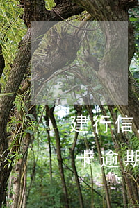 建行信用卡逾期多長時間會停息-建行信用卡逾期多長時間會停息掛賬