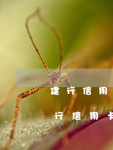 建行信用卡逾期好協(xié)商么(建設銀行 信用卡 逾期)