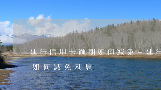 建行信用卡逾期如何减免-建行信用卡逾期如何减免利息