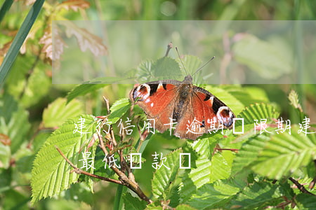 建行 信用卡 逾期寬限期（建行信用卡逾期可以最低還款嗎）