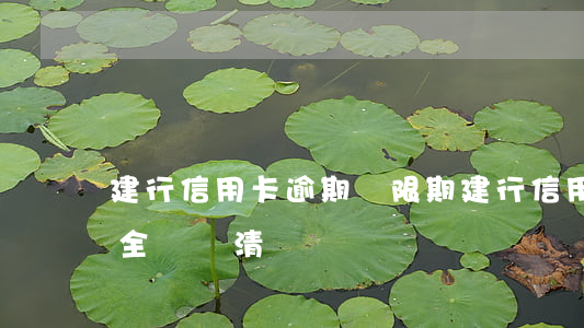 建行 信用卡 逾期寬限期（建行信用卡逾期要求全額還清）