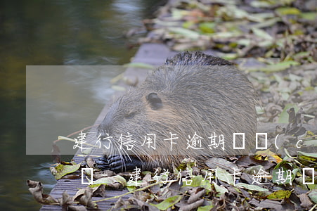 建行信用卡逾期對儲(chǔ)蓄卡有影響嗎-建行信用卡逾期對儲(chǔ)蓄卡有影響嗎知乎