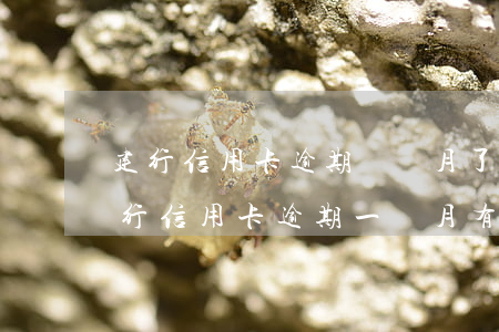 建行信用卡逾期幾個月了(建設(shè)銀行信用卡逾期一個月有什么影響)