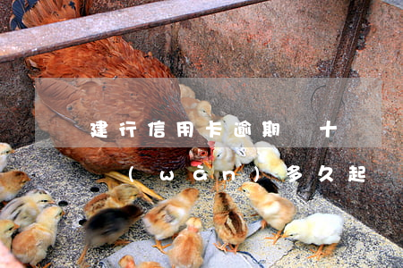 建行信用卡逾期幾十塊錢(建行信用卡逾期一萬(wàn)多久起訴)