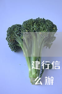 建行信用卡逾期幾千 建行信用卡逾期幾千怎么辦