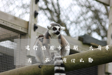 建行信用卡逾期幾天有事(建行信用卡逾期三天會不會有什么影響嗎)