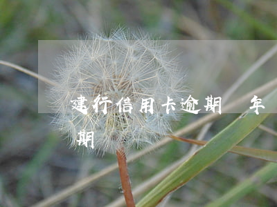 建行信用卡逾期幾年會 建行 信用卡 逾期寬限期