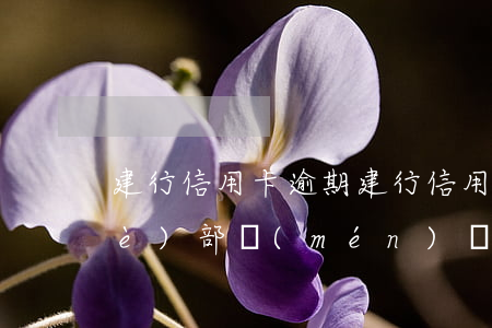 建行 信用卡 逾期（建行信用卡逾期找哪個(gè)部門(mén)協(xié)商）