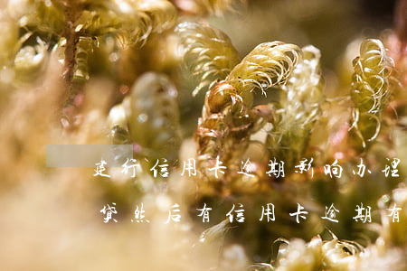 建行信用卡逾期影响办理房贷吗(已经办了房贷然后有信用卡逾期有什么后果)