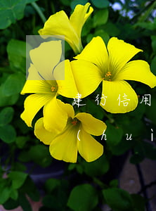 建行信用卡逾期影響工作(工行信用卡逾期會(huì)影響建行信用卡嗎?)