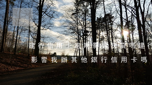 建行信用卡逾期影響房貸嗎(建行逾期還款后影響我辦其他銀行信用卡嗎)