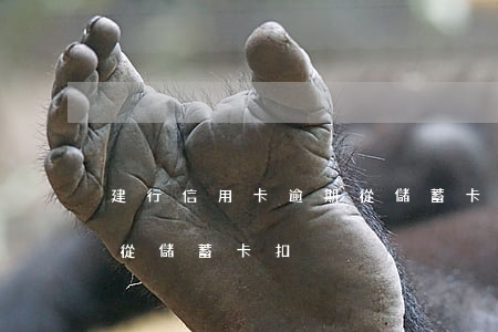 建行信用卡逾期從儲蓄卡扣(建行信用卡逾期從儲蓄卡扣)