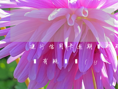 建行信用卡逾期從那天起算(建行對信用卡賬單有疑問應(yīng)該在多少天之內(nèi))