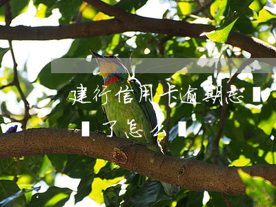 建行信用卡逾期忘還了-建行信用卡逾期忘還了怎么辦