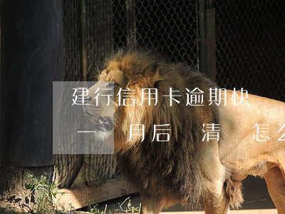 建行信用卡逾期快貸沒了(建設銀行快貸逾期一個月后還清會怎么樣)