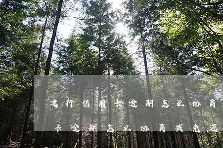 建行信用卡逾期怎么协商减免还款(建行信用卡逾期怎么协商减免还款呢)
