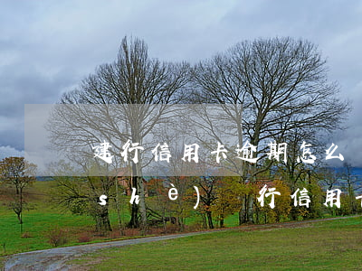 建行信用卡逾期怎么協(xié)商(建設(shè)銀行信用卡逾期可以協(xié)商嗎?)