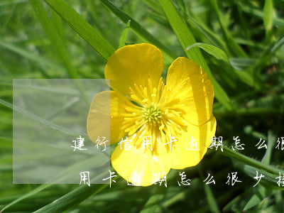 建行信用卡逾期怎么很少接到電話-建行信用卡逾期怎么很少接到電話了