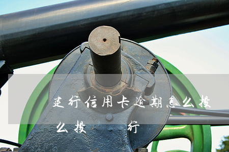 建行信用卡逾期怎么投訴(建行信用卡逾期怎么投訴銀行)