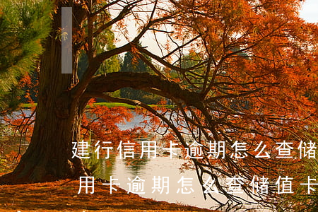 建行信用卡逾期怎么查储值卡流水-建行信用卡逾期怎么查储值卡流水账单