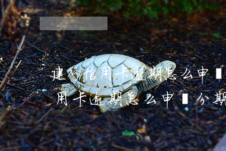 建行信用卡逾期怎么申請分期還款-建行信用卡逾期怎么申請分期還款的
